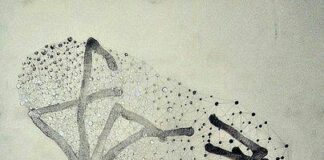 دل نوشتههای فلسفی یک حقوقدان : خاستگاه انديشه و ارتباط آن با اقليم