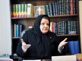 فریده غیرت در گفتوگو با صوراسرافیل: مدیریت کارآمد، ملودی زنان در شورا