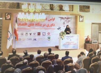 همایش داوری مشهد