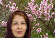 ریش باد آن دل که از زخم تو خواهد مرهمی