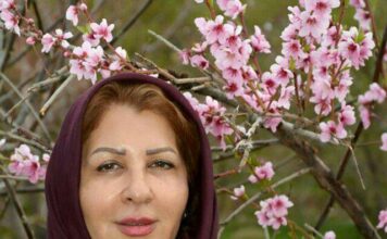 ریش باد آن دل که از زخم تو خواهد مرهمی