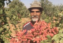 مرا نقابها به درد میآورد و او را به خنده می انداخت !