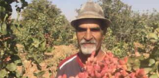 مرا نقابها به درد میآورد و او را به خنده می انداخت !